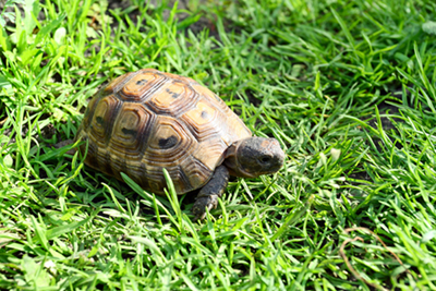 Bild: #23736695 © Andrey Bandurenko - stock.adobe.com<